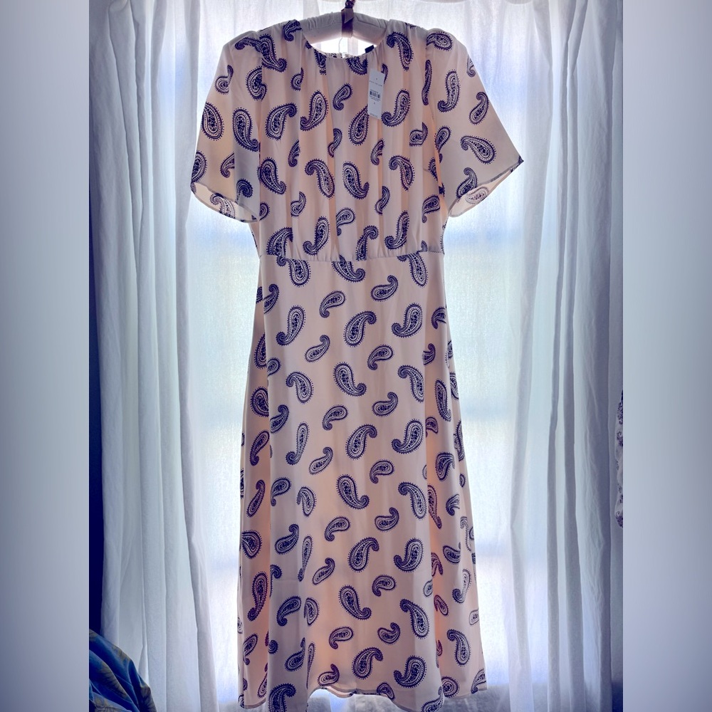 Ann Taylor White and Blue Paisley Midi Dress